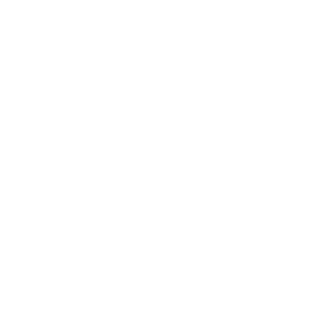 Roof and Gutter Icon