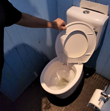 tap, toilet and shower