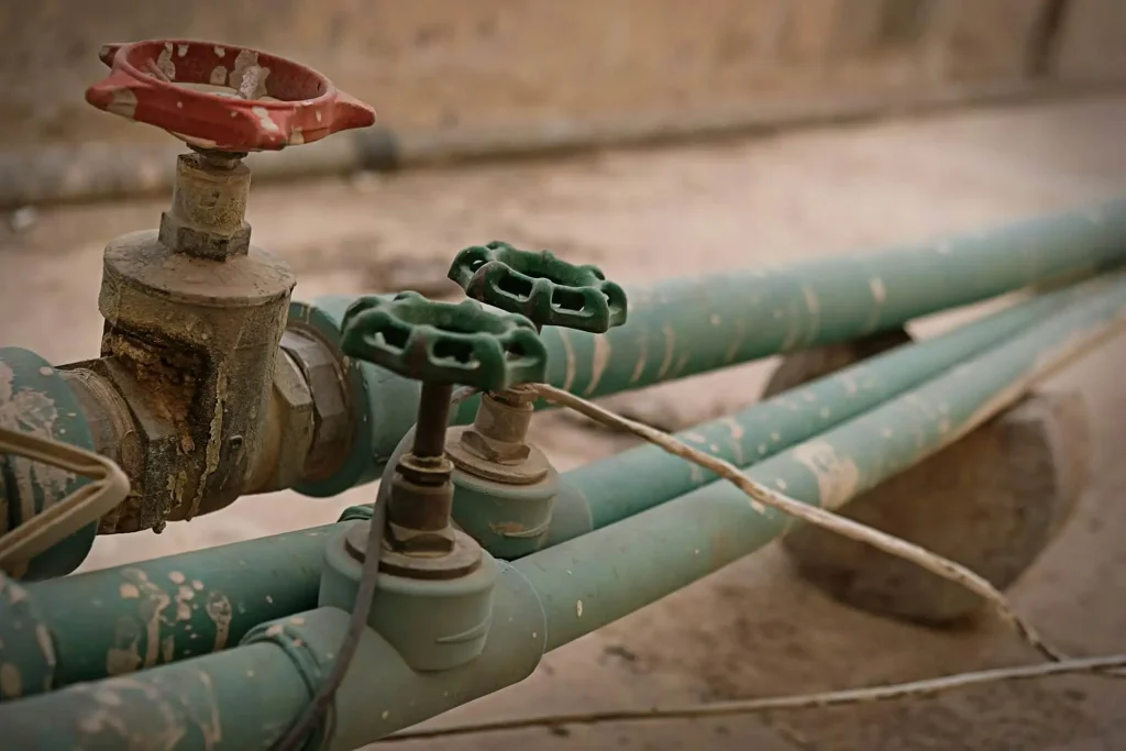 image of a worn valves
