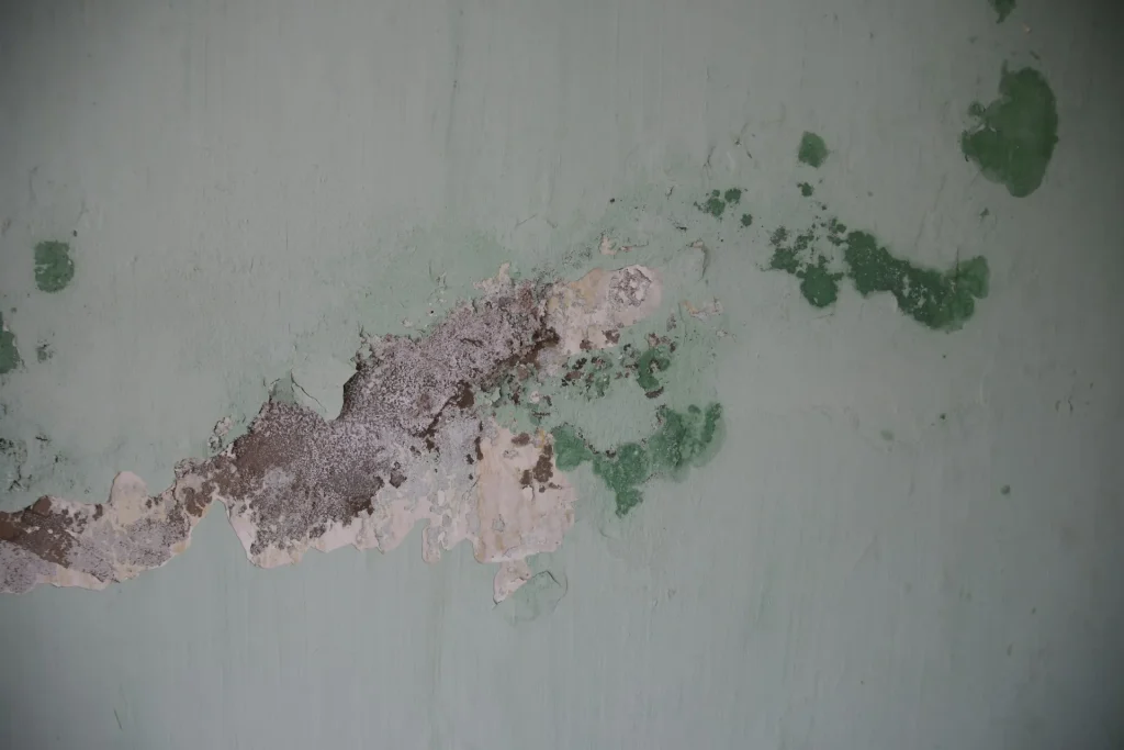 If you ignore it, mould in air conditioner can degrade your property overtime