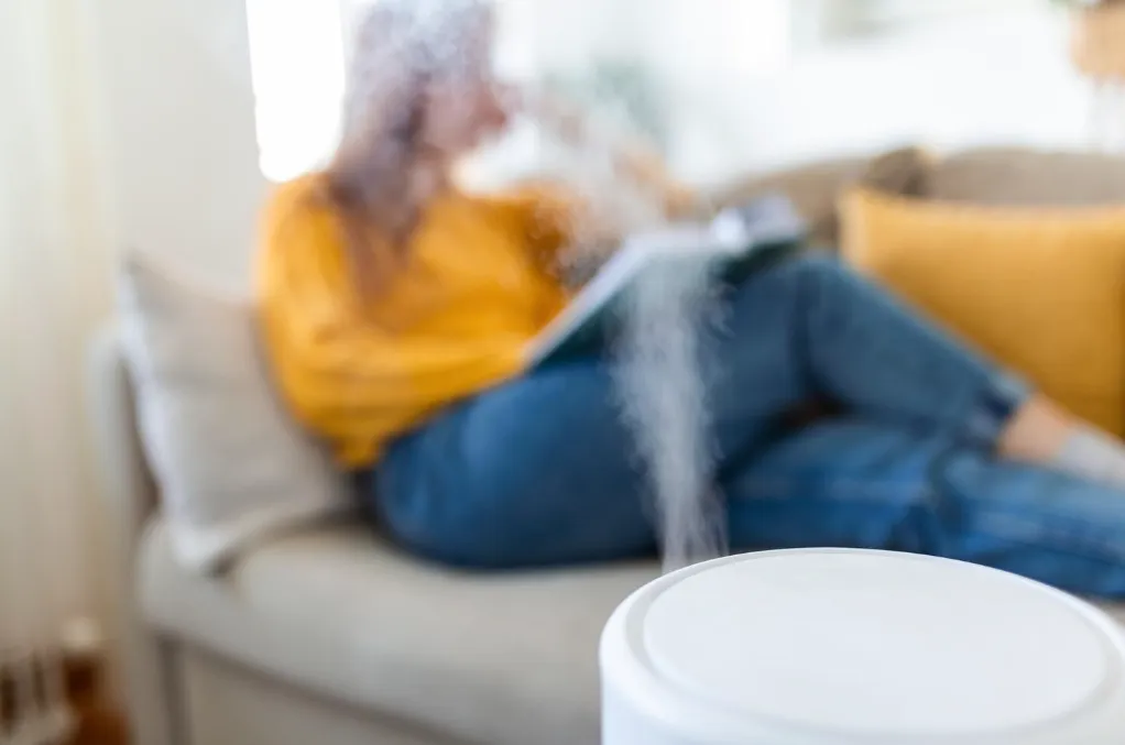 Using humidifier can help improve your home_s humidity and prevent mould in AC unit