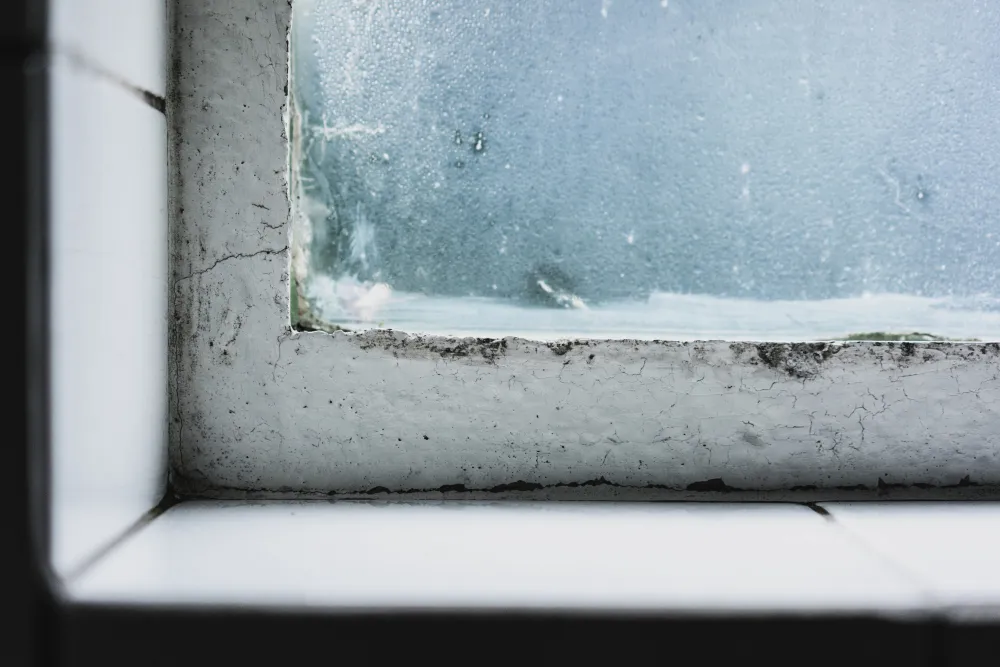 When you notice condensation on Windows, you might check for mould in AC unit