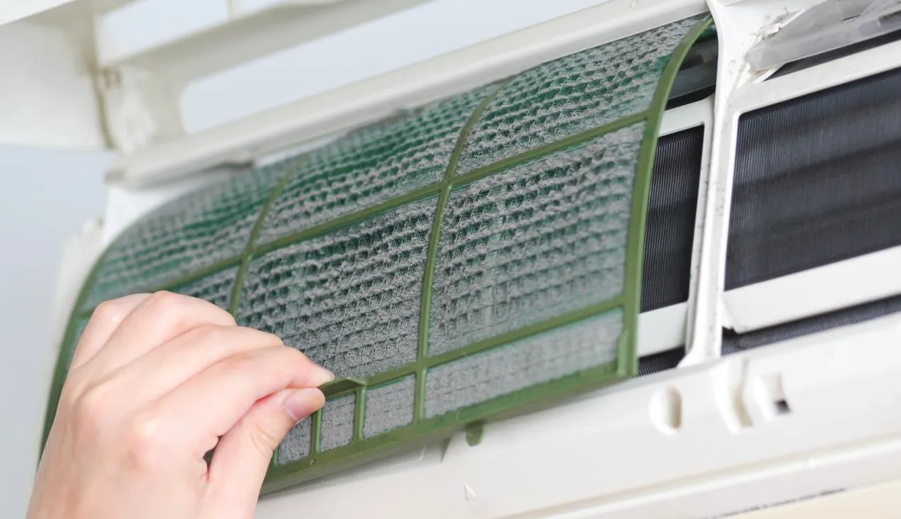 Mould in AC Unit: Signs and How to Fix It